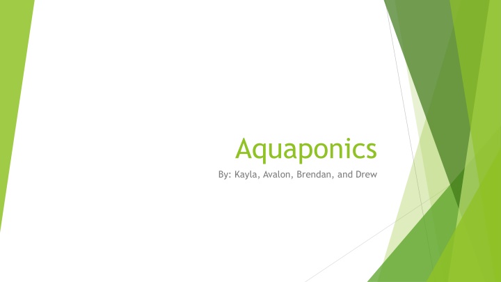 aquaponics by kayla avalon brendan and drew