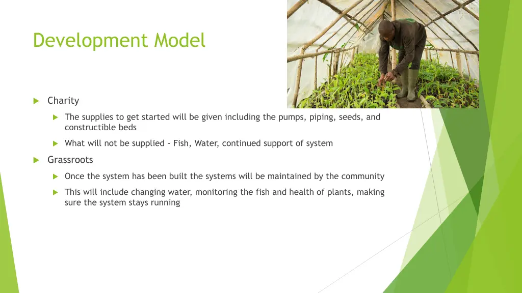development model