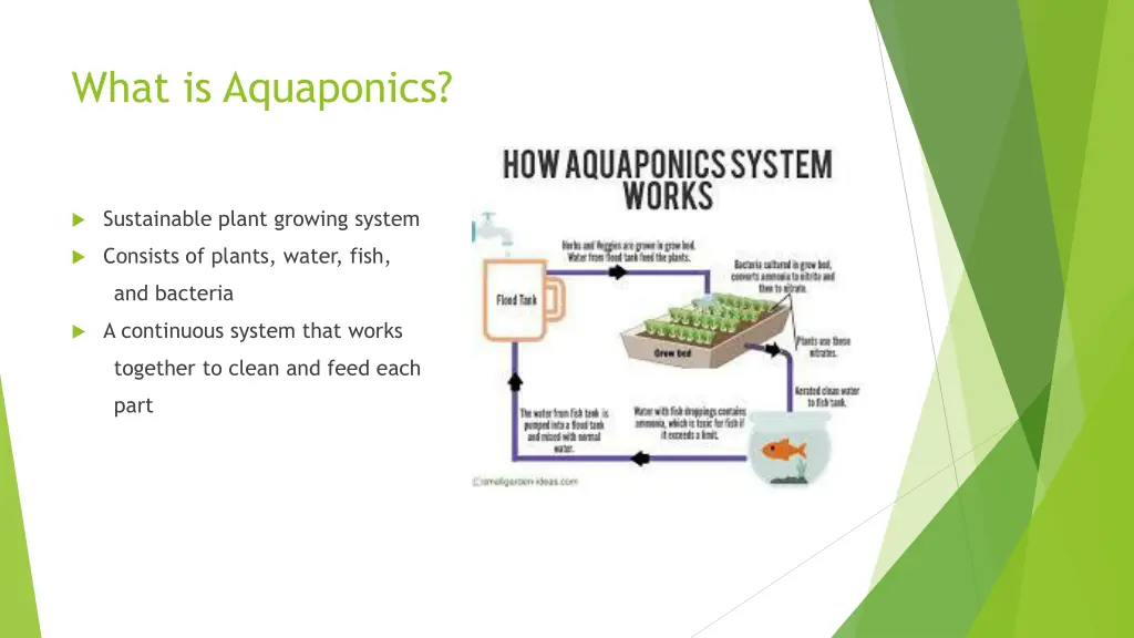 what is aquaponics