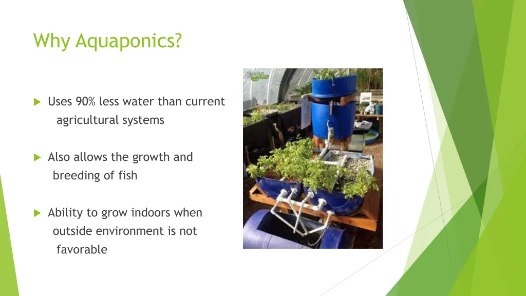 why aquaponics