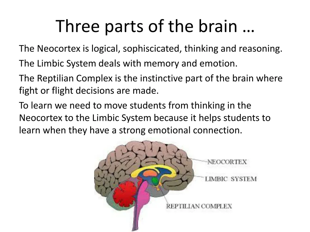 three parts of the brain