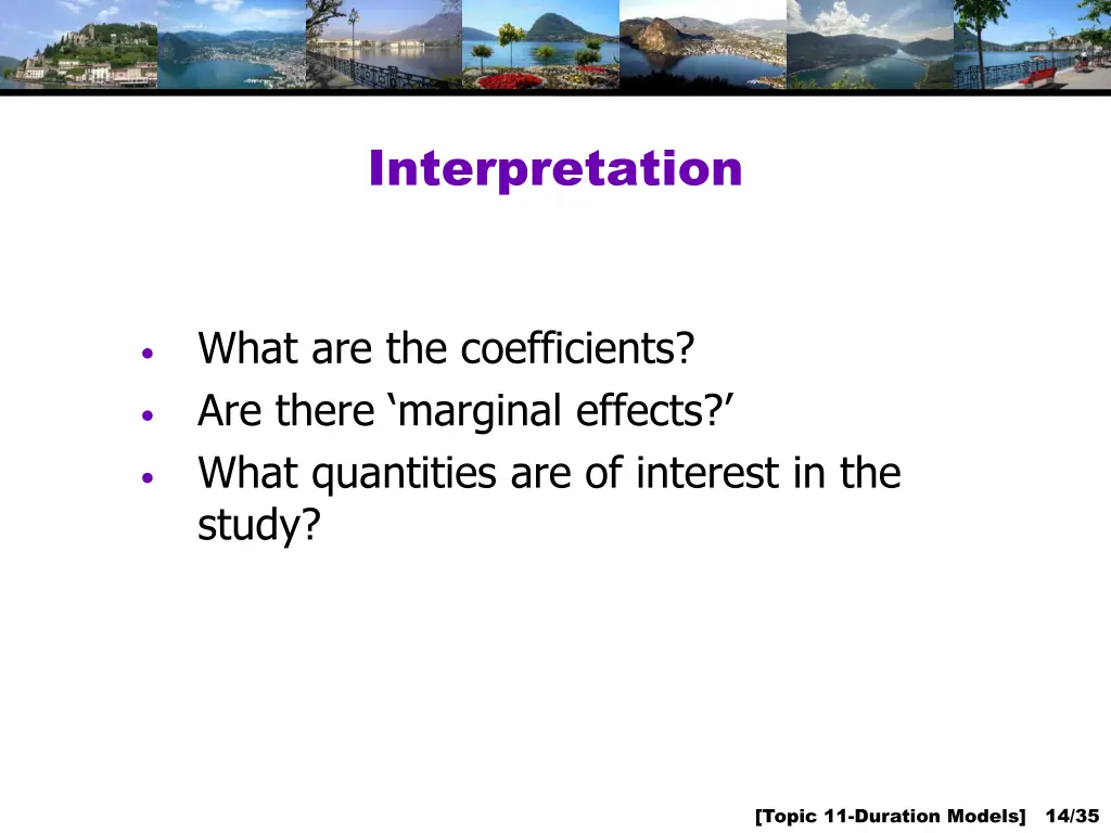 interpretation
