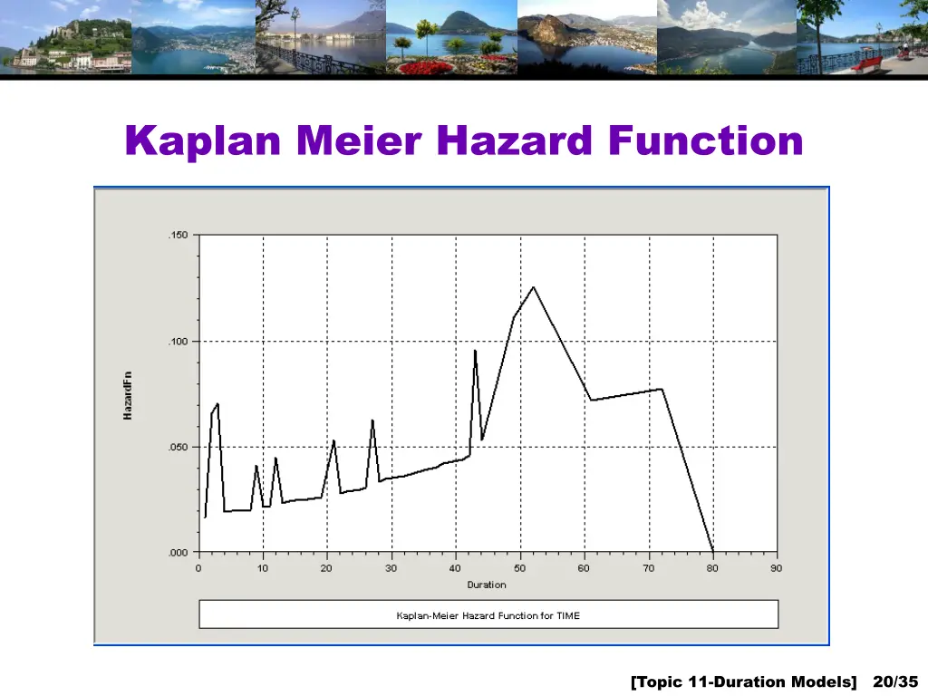 kaplan meier hazard function