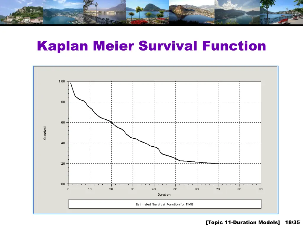 kaplan meier survival function