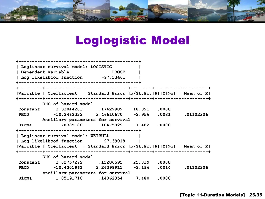 loglogistic model