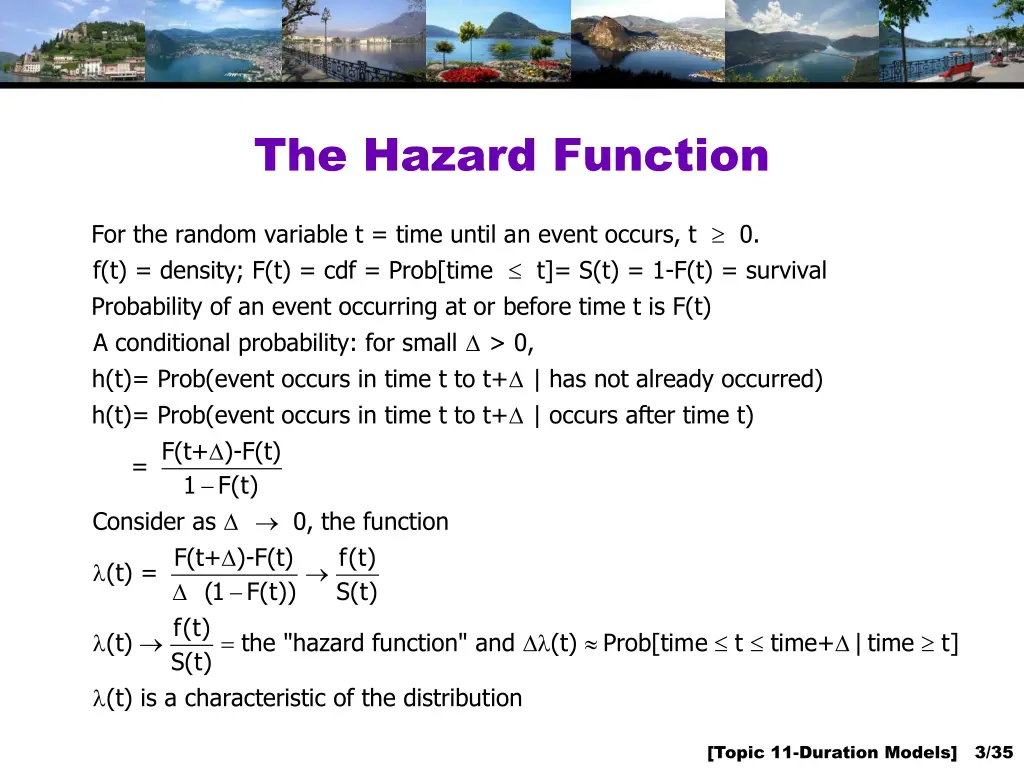 the hazard function