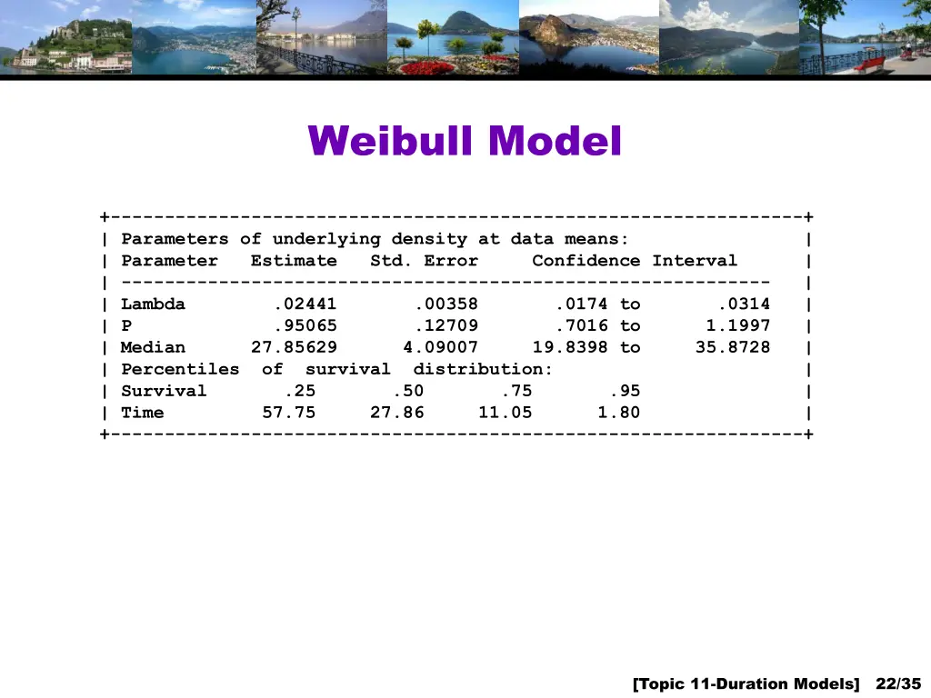 weibull model