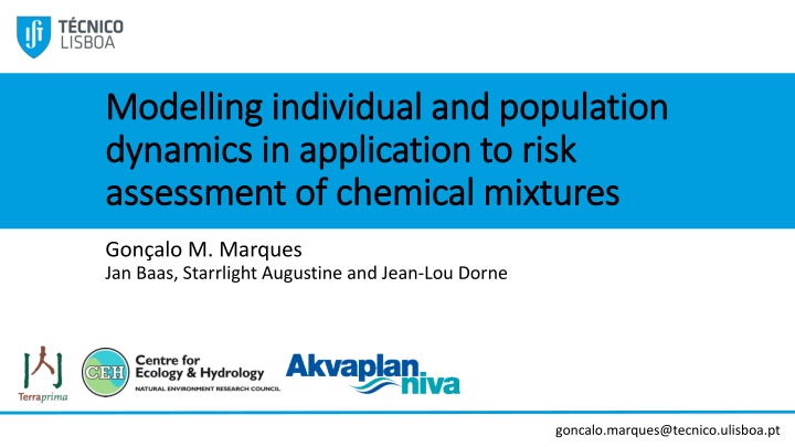 modelling individual and population modelling