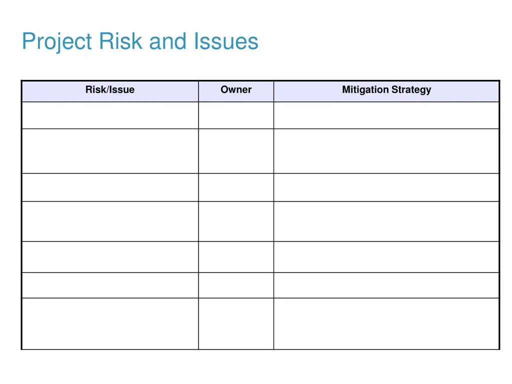 project risk and issues