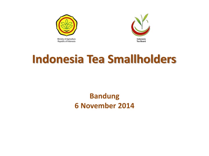indonesia tea smallholders