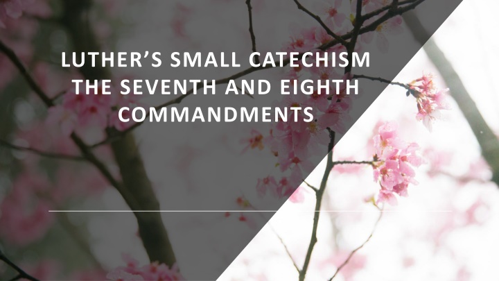luther s small catechism the seventh and eighth