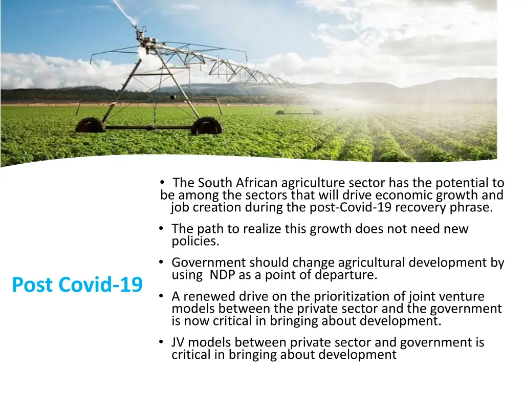 the south african agriculture sector