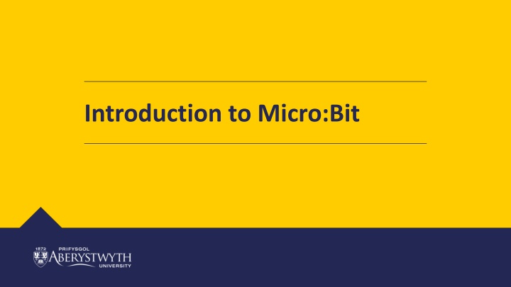 introduction to micro bit