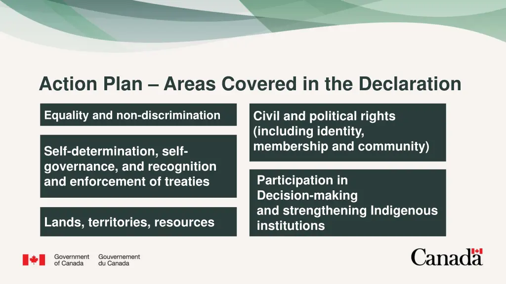 action plan areas covered in the declaration