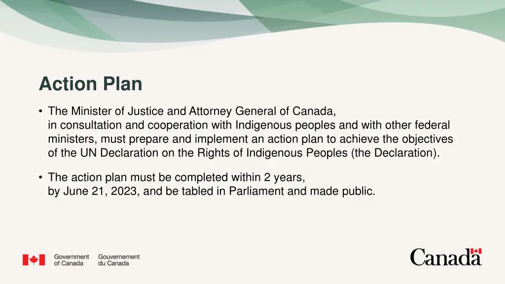 action plan