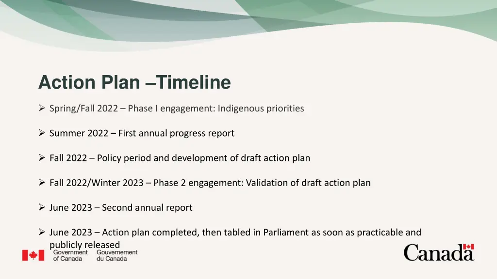action plan timeline