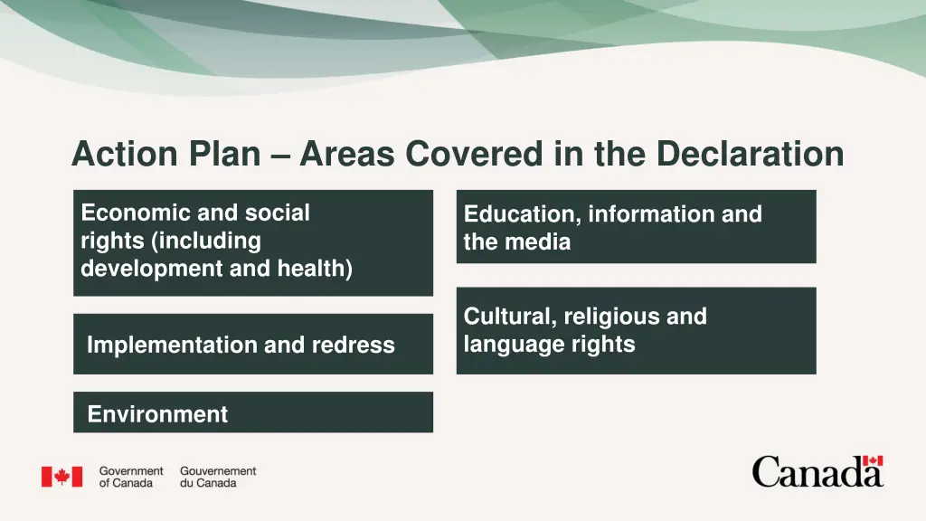 action plan areas covered in the declaration 1