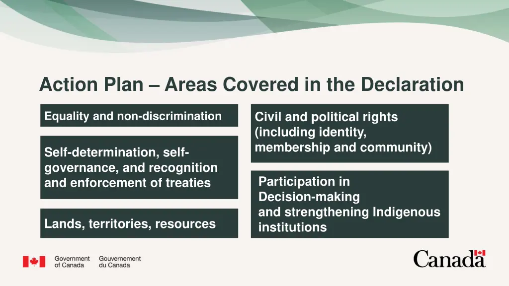 action plan areas covered in the declaration