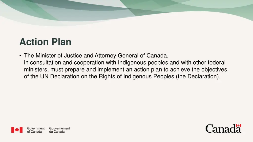 action plan
