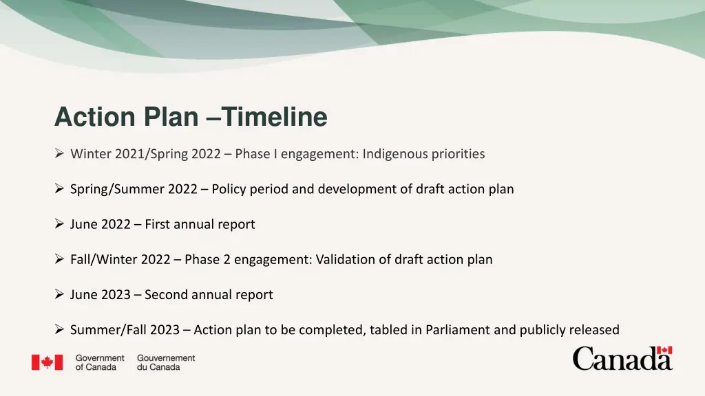 action plan timeline
