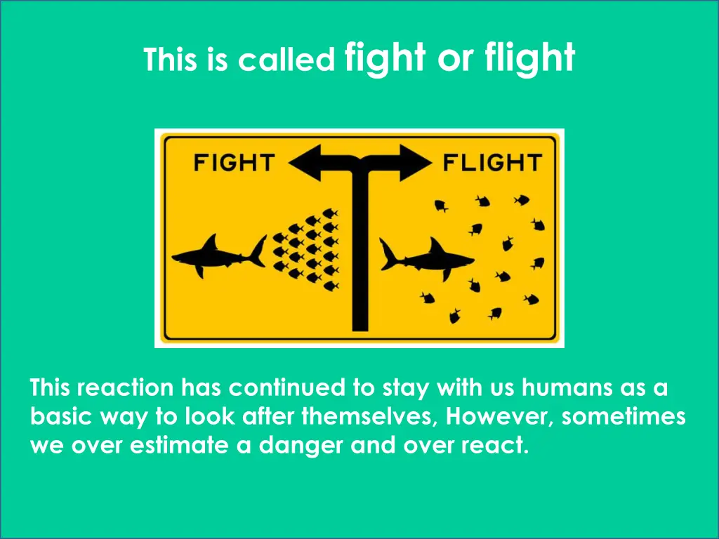 this is called fight or flight