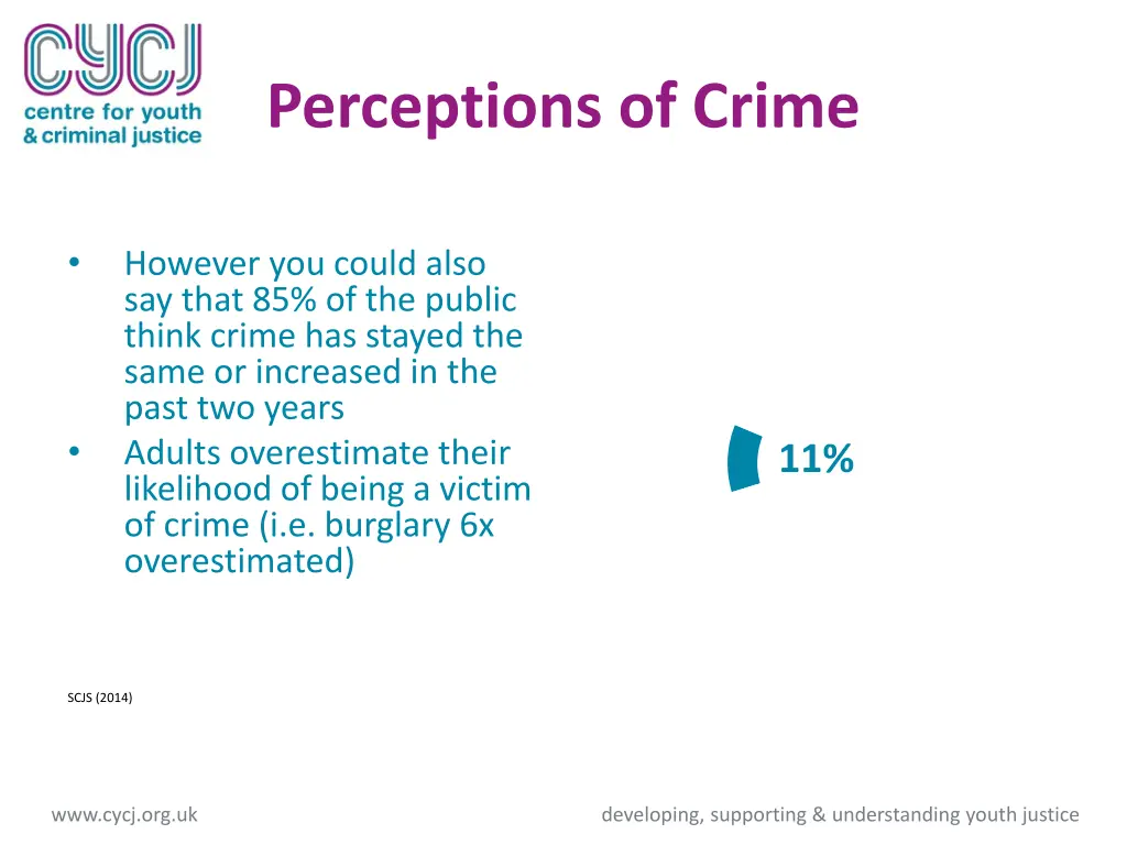 perceptions of crime 1
