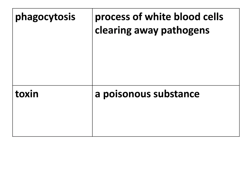 phagocytosis