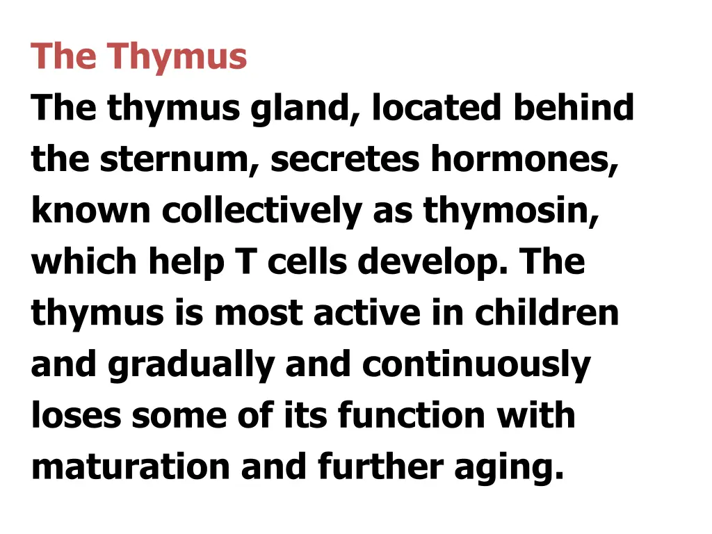the thymus the thymus gland located behind