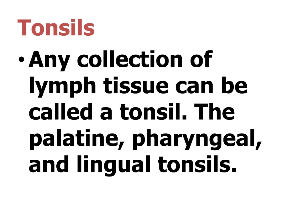 tonsils any collection of lymph tissue