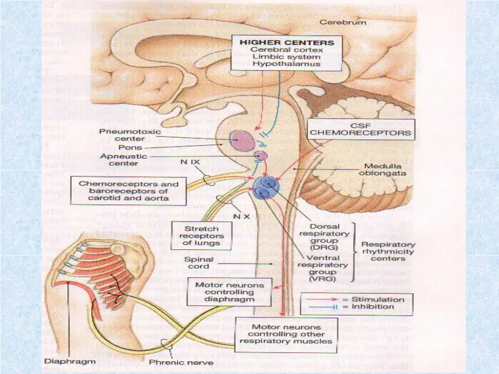 slide18