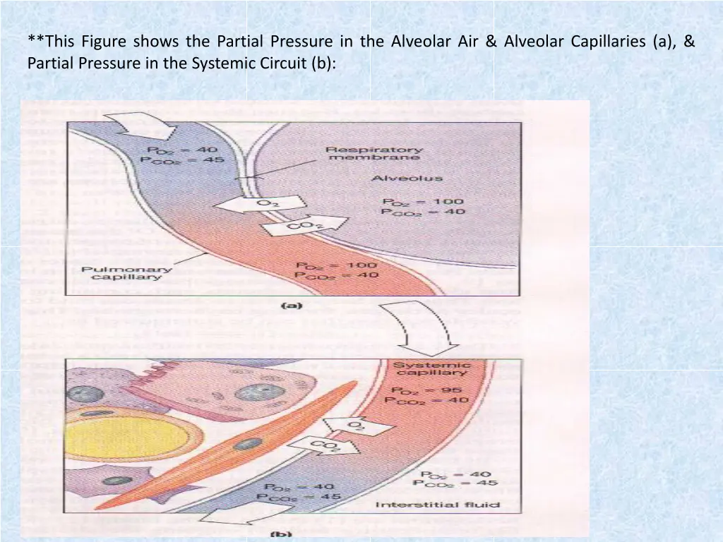this figure shows the partial pressure