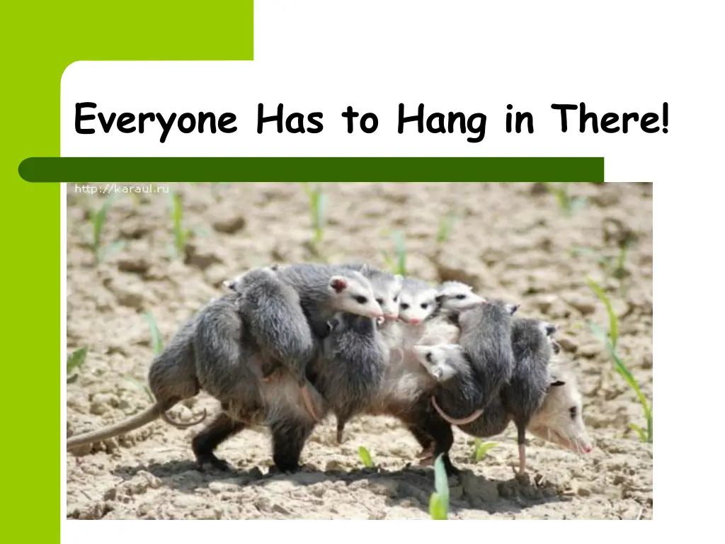 everyone has to hang in there