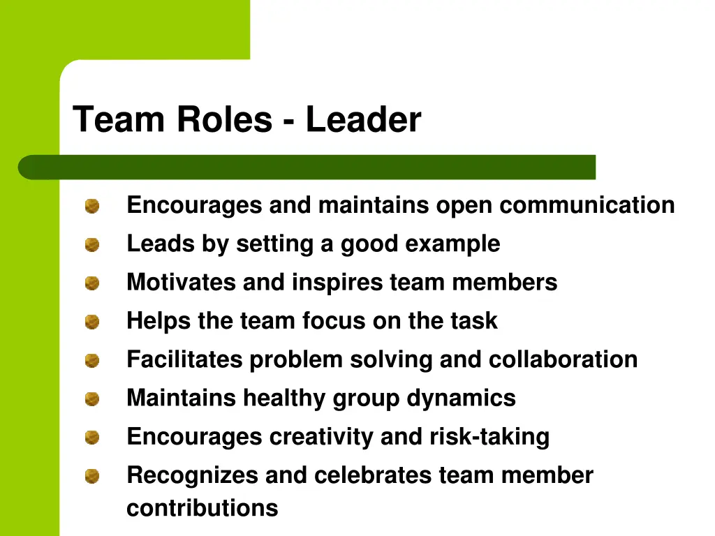 team roles leader