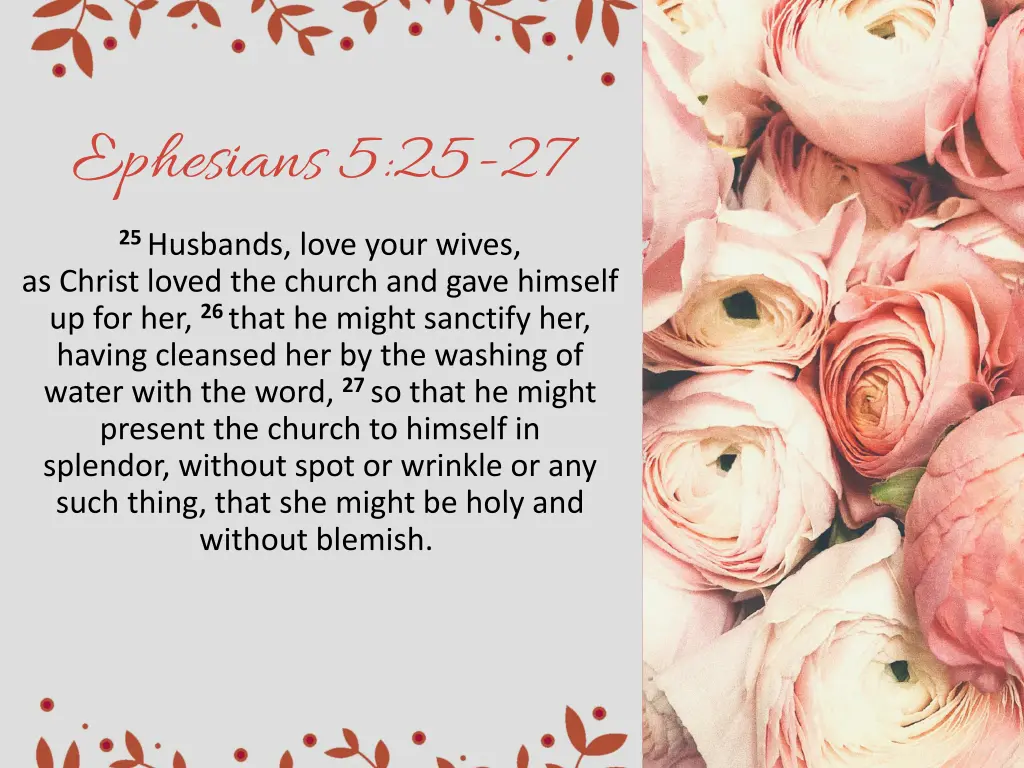 ephesians 5 25 27