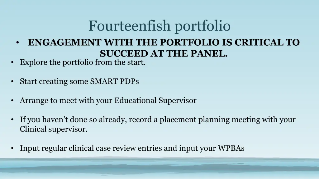 fourteenfish portfolio engagement with