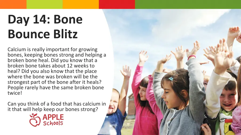 day 14 bone bounce blitz