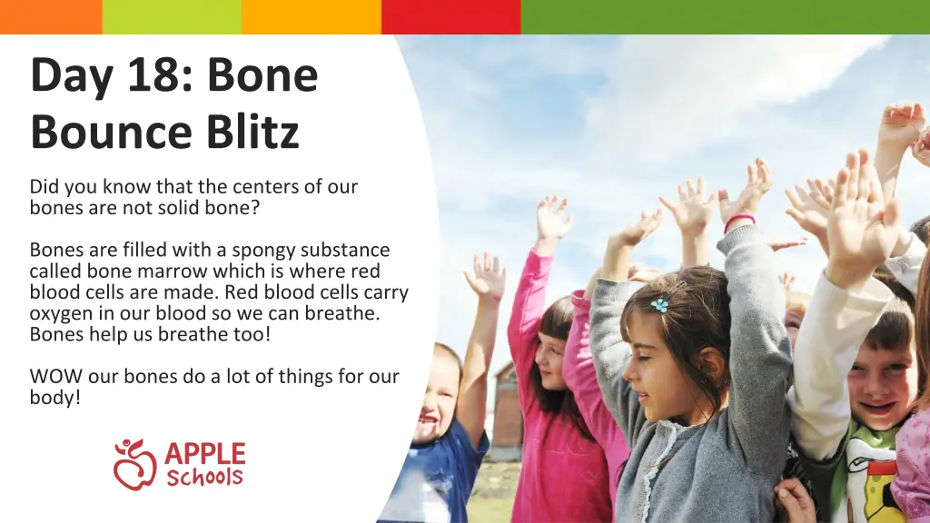 day 18 bone bounce blitz