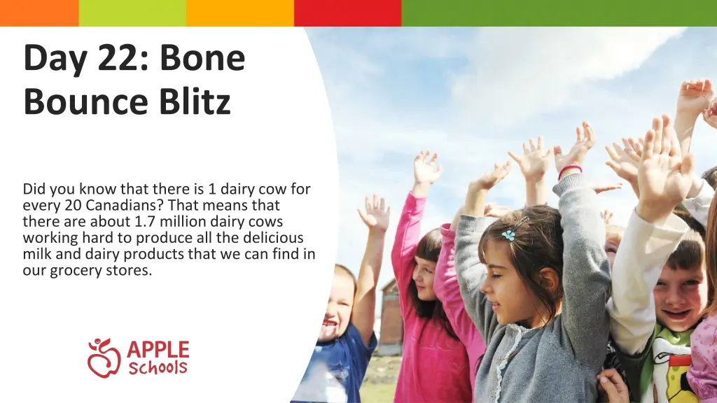day 22 bone bounce blitz