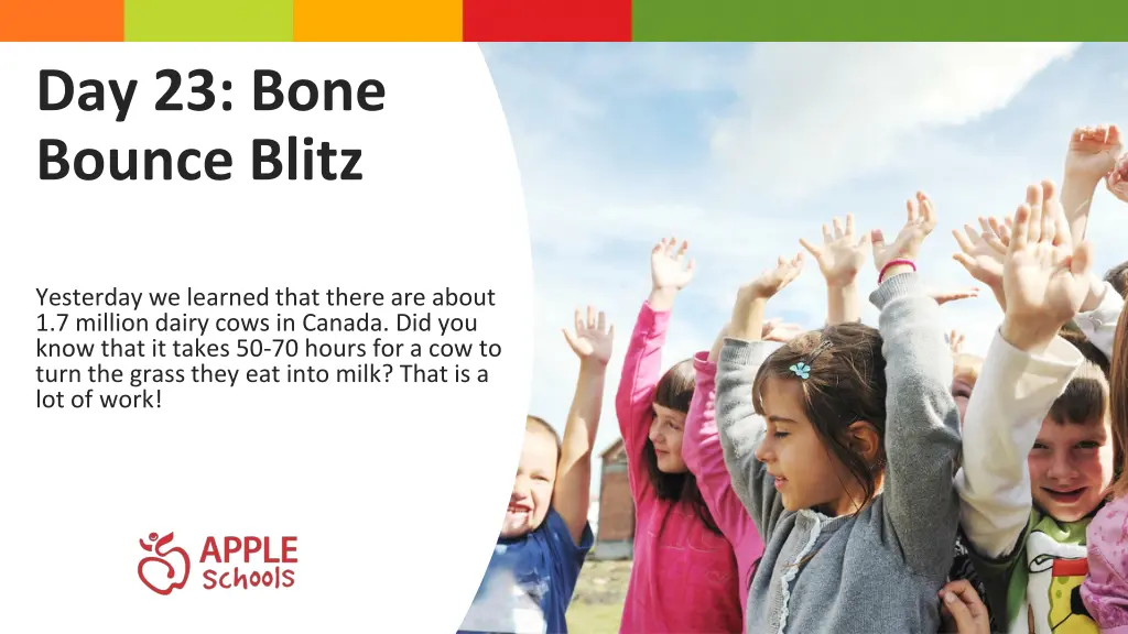 day 23 bone bounce blitz