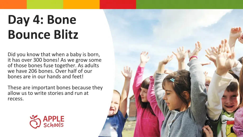 day 4 bone bounce blitz