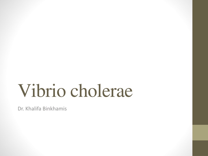 vibrio cholerae