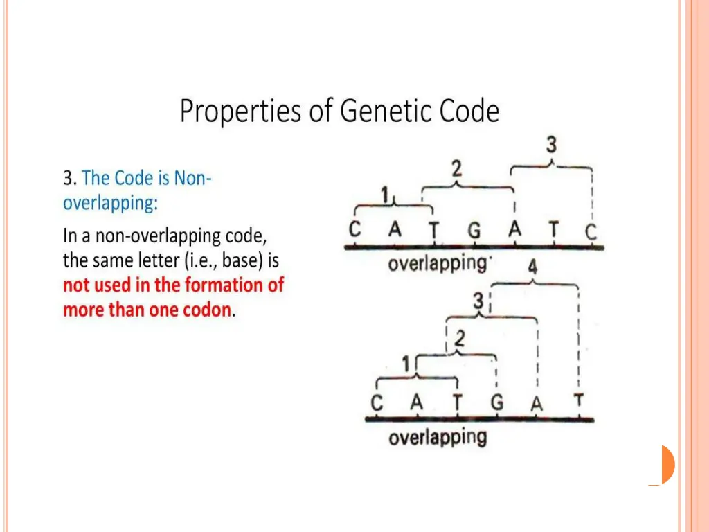 slide11