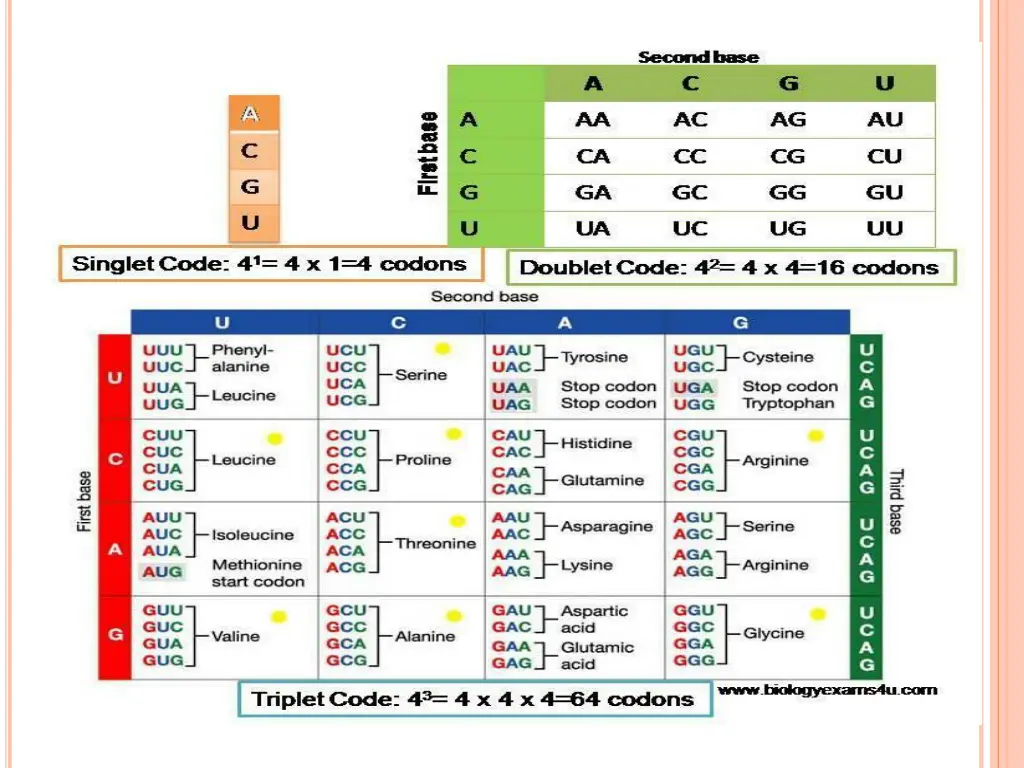 slide7