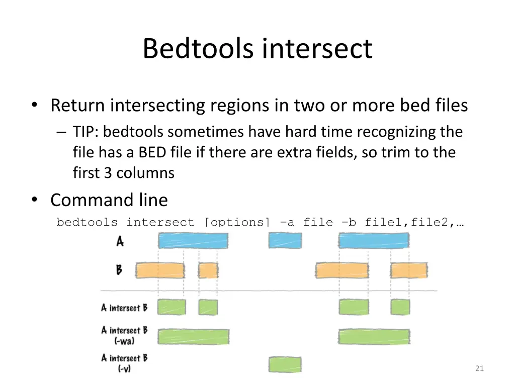 bedtools intersect