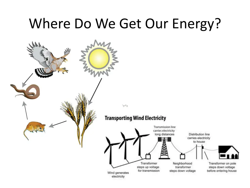 where do we get our energy