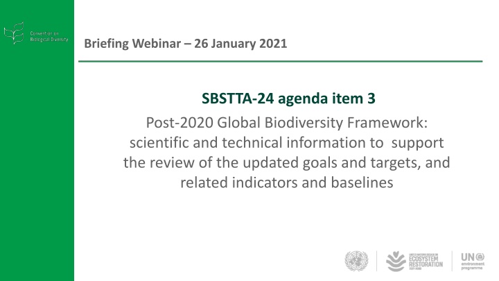 briefing webinar 26 january 2021