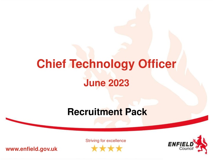 chief technology officer