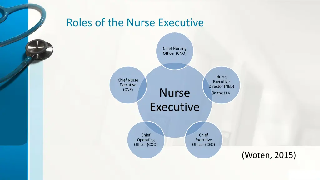 roles of the nurse executive