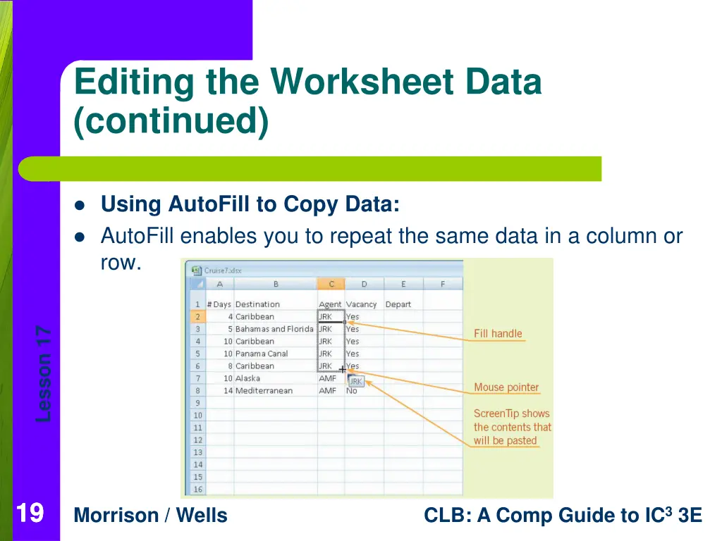 editing the worksheet data continued