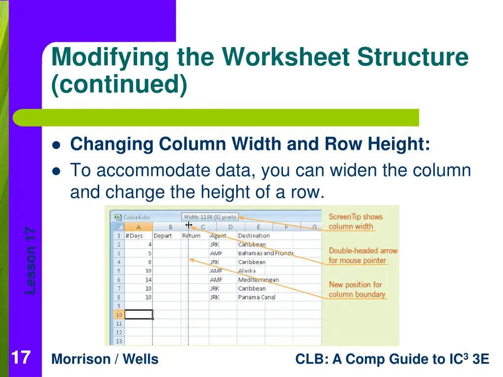 modifying the worksheet structure continued 1